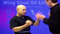---Wing Chun kung fu - wing chun  siu lim tao lesson 10
