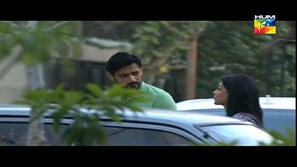 Alvida Full Episode 8 On HUM TV Drama 1st April 2015