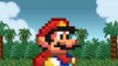 Super Mario Bros. 2 Bloopers Flash Video