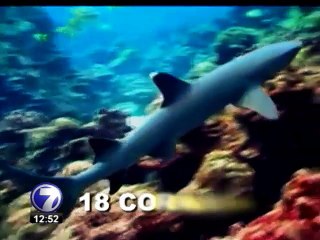 Pescadores ilegales acumulan advertencias pero no se alejan de la Isla del Coco