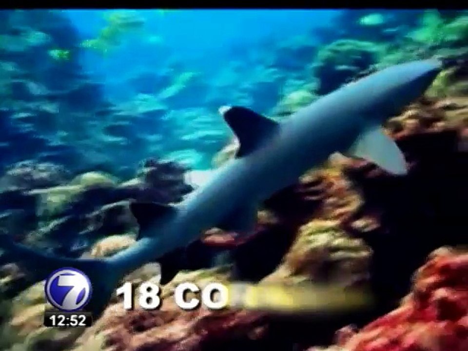 Pescadores ilegales acumulan advertencias pero no se alejan de la Isla del Coco