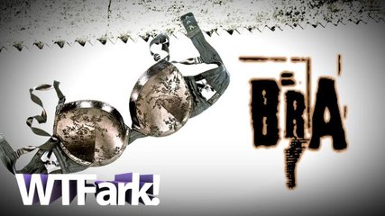 BRA: Kentucky Woman Fights Off Bra-Wielding Intruder With Ceramic Chicken