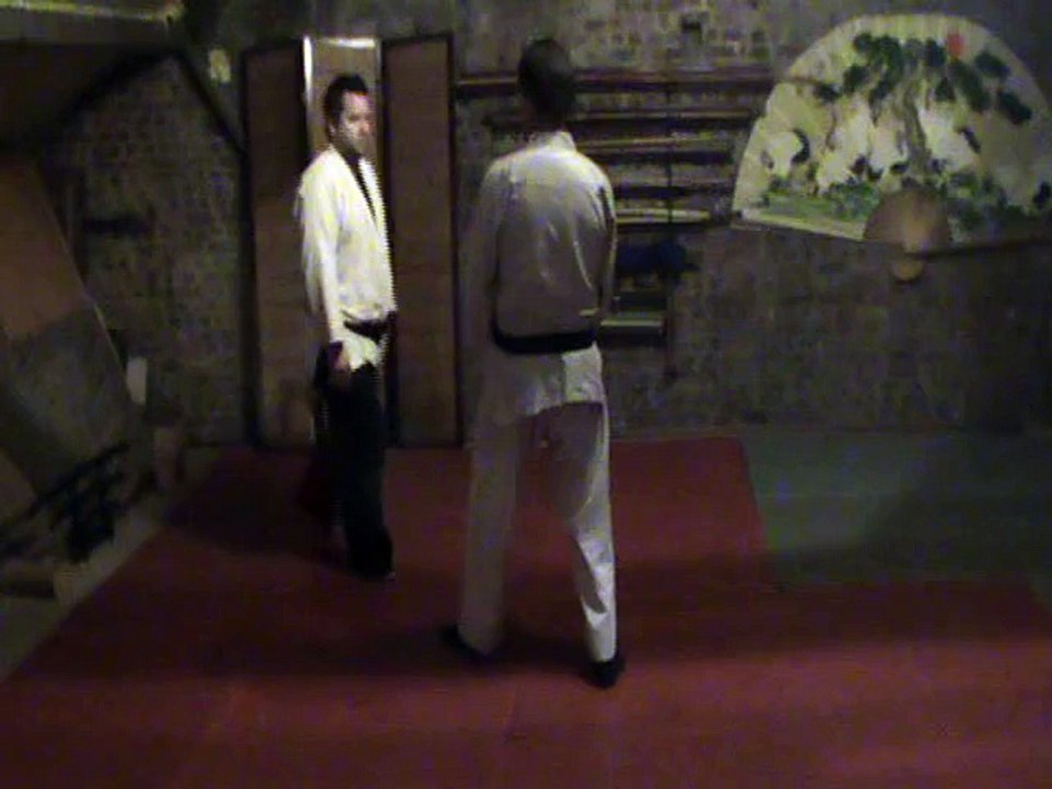 Ai hanmi uchi komi : yokomen uchi