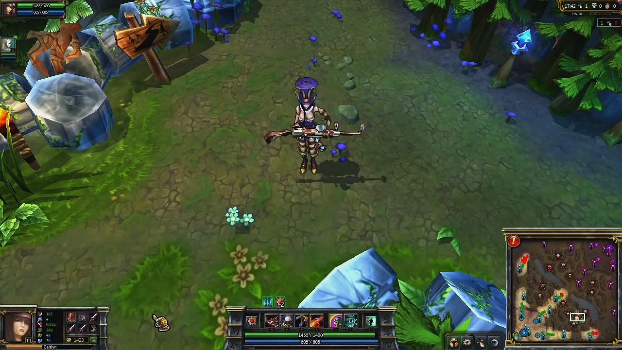 Caitlyn Champion Spotlight