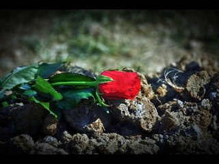 Srebrenica Dani Sjecanja (Intro Video) 3