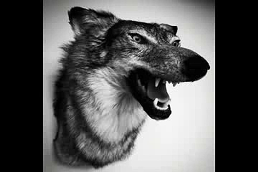 Yelawolf - Devil In My Veins [Love Story]