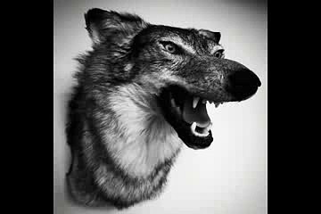 Yelawolf - Johnny Cash Feat. A$AP Rocky [Love Story]