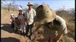 Tourists get too close to a black rhinoceros and baby in African safari - BBC wildlife
