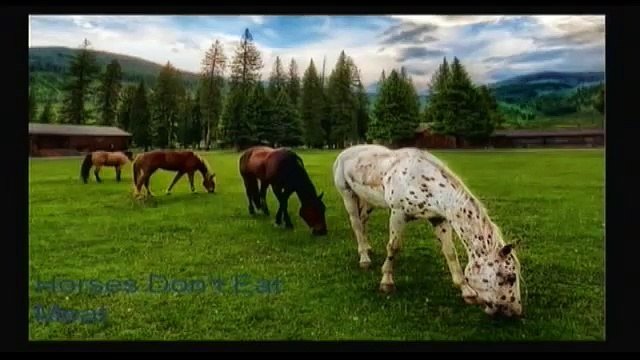 Dr. Ellen Langer on Mindfulness and the Psychology of Possibility