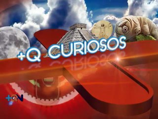 +Q Curiosos: ¿Podemos matar un virus?