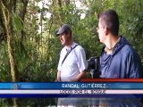 Locos por el Bosque le ofrece un paseo por la naturaleza para disfrutar de este ambiente en vacaciones