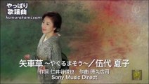 伍代夏子 「矢車草」～歌詞テロップ付き（フルコーラス）