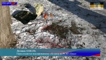 Город Луганск подвергся массированному обстрелу из РСЗО «Град»