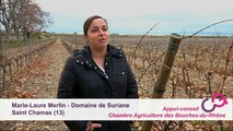 Contrat de génération : Domaine de Suriane