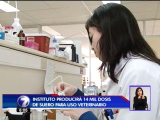 Producción de suero antiofídico de uso veterinario deberá duplicarse