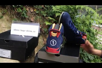 Authentic Air Jordan VI DB