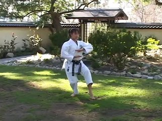 kumite tactics and technics for black belts