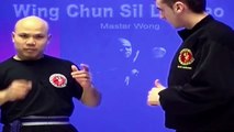 ---Wing Chun kung fu - wing chun  siu lim tao lesson 3