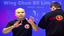 ---Wing Chun kung fu - wing chun  siu lim tao lesson 7