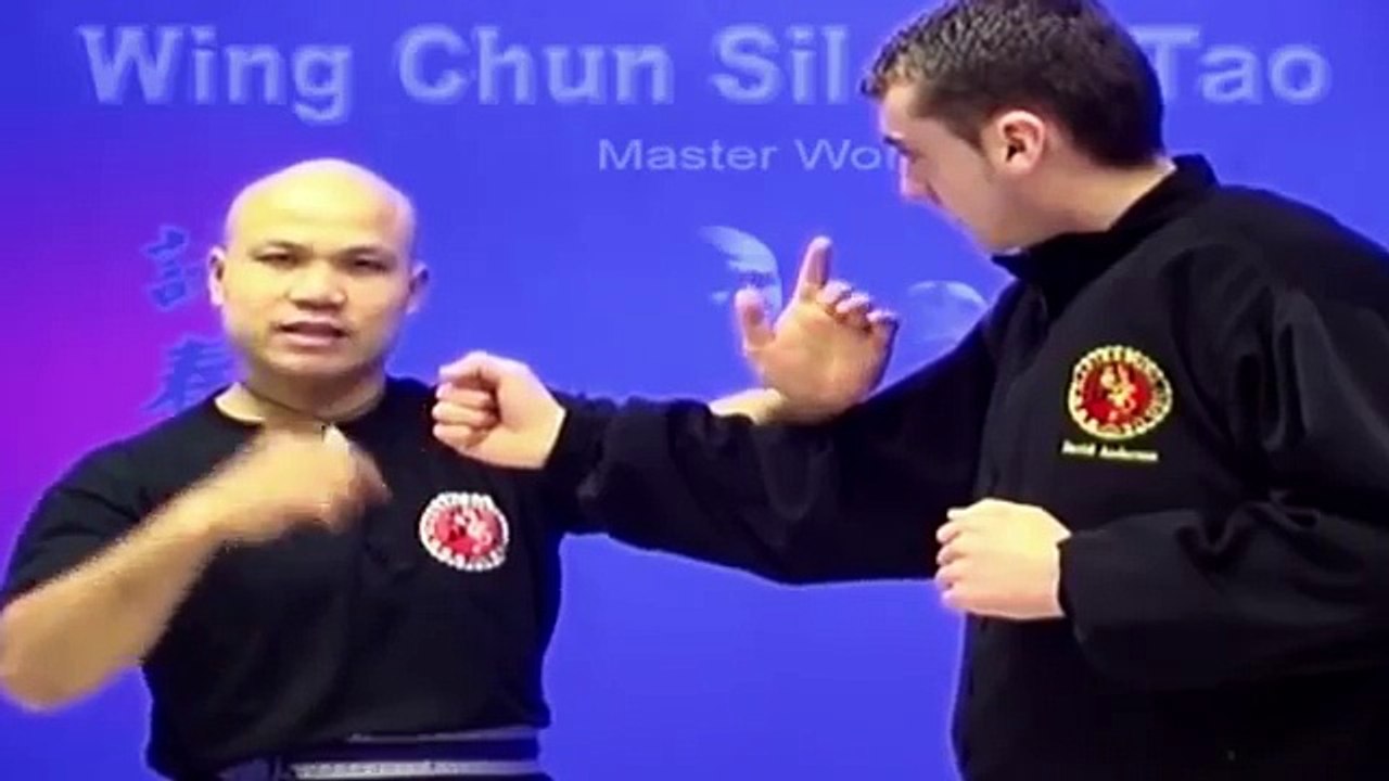 ---Wing Chun kung fu - wing chun  siu lim tao lesson 8