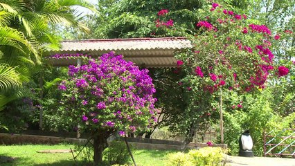 Indians turn to townships in twilight years