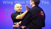 ---Wing Chun kung fu - wing chun  siu lim tao lesson 11