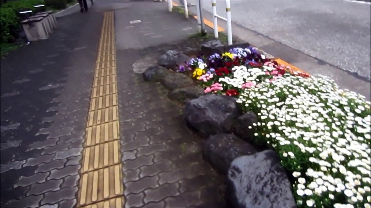 VISIT TO A RECLAIMED LAND BY ERNEST VAN-MOHR