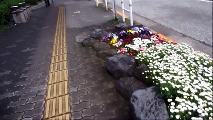 VISIT TO A RECLAIMED LAND BY ERNEST VAN-MOHR