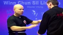 ---Wing Chun kung fu - wing chun  siu lim tao lesson 12