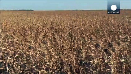 Sécheresse historique en Californie, des mesures drastiques mises en place