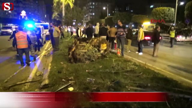 Ağaca çarpan otomobil ikiye bölündü