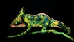 Chameleon Bodypainting is just incredible!