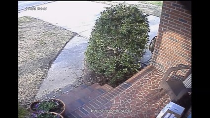 Thief caught on camra : Mail stolen in Willow Oaks
