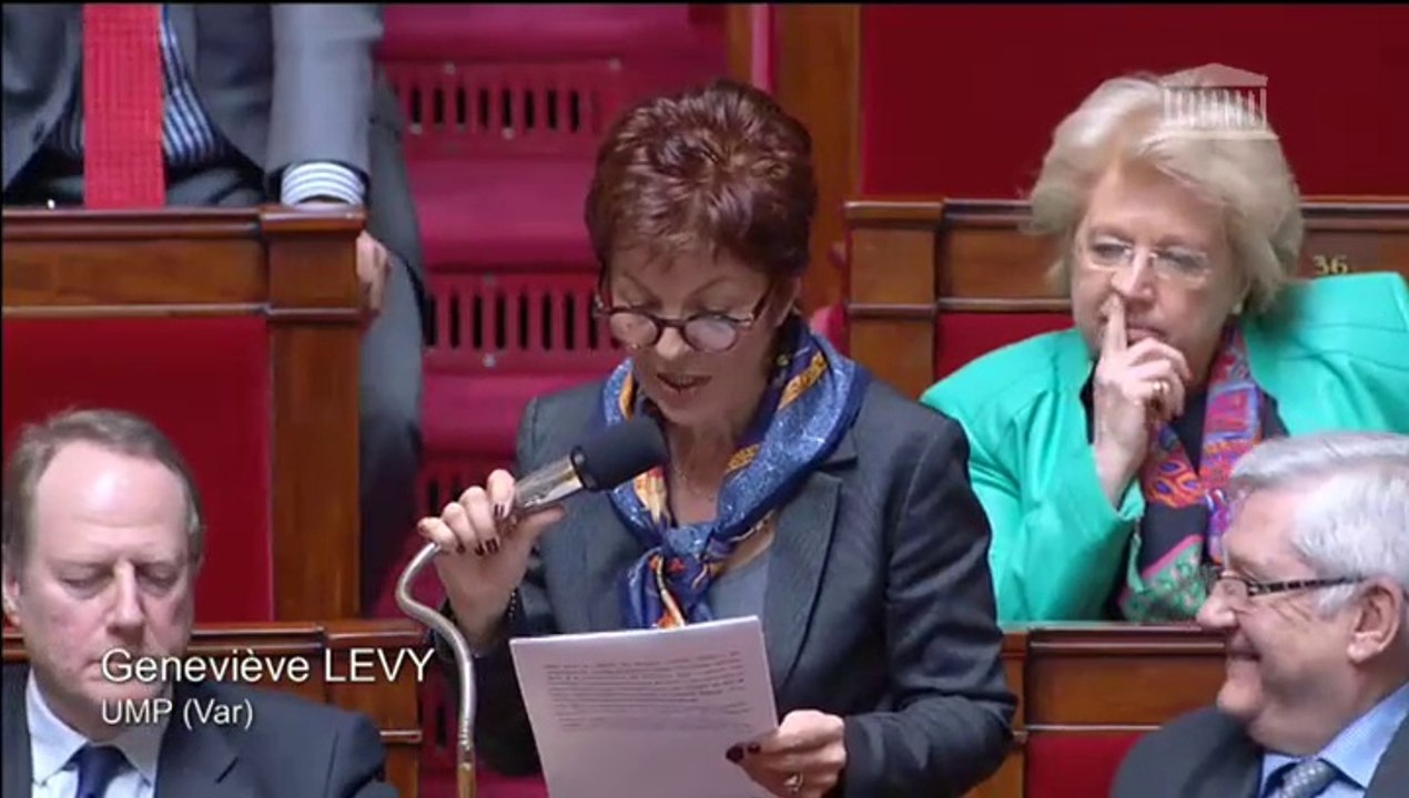 Geneviève Levy - Projet de loi santé