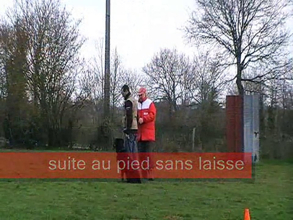 Max brevet obeissance