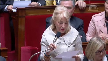 Nicole Ameline - Financement des OPEX