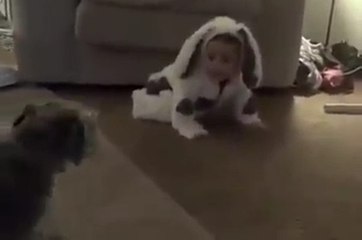 Little Dog Is Confused By Baby s Costume