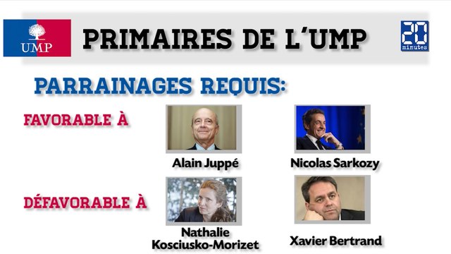 Les primaires de l'UMP expliquées en une minute