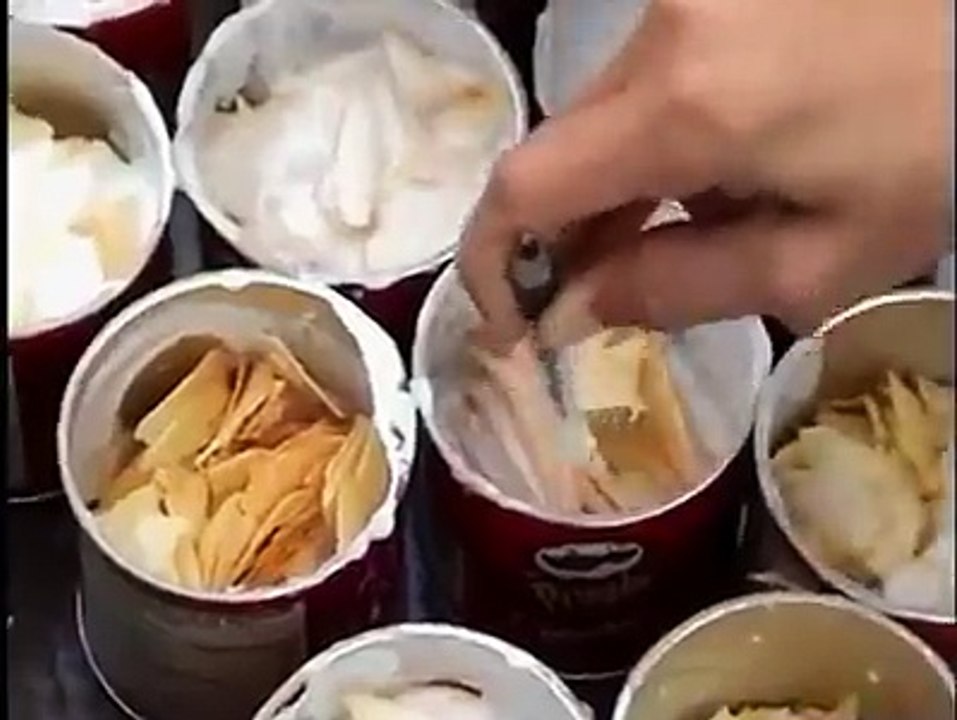 Des Idiots nourrissent des mouettes de laxatifs qui vont ensuite chier sur les passants