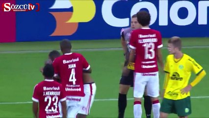 Brezilya'da Emenike vakası