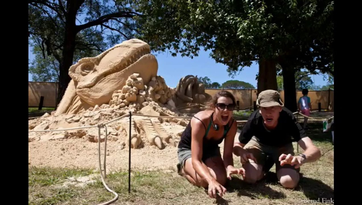 International Sand Sculpting Competition, Windsor, NSW 2014