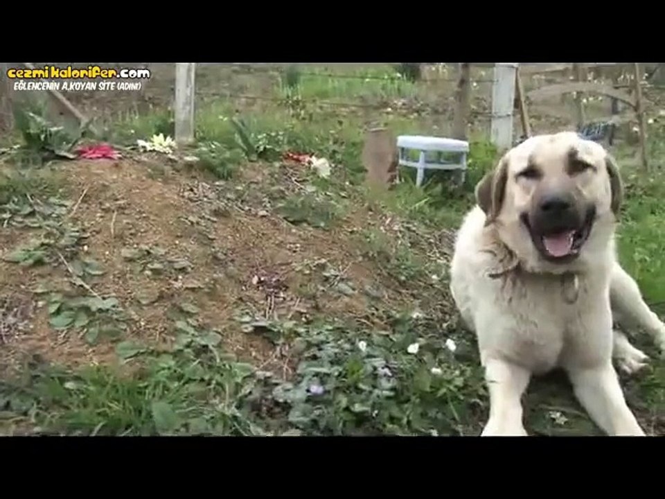 Her Gün