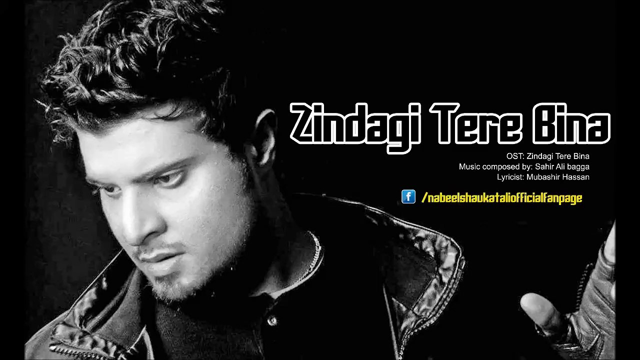 Zindagi Tere Bina OST  By Nabeel Shaukat Ali - YouthMaza.Com