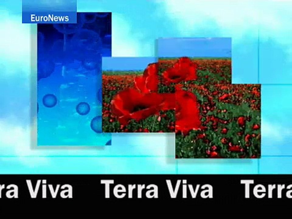 euronews terra viva - EuroNews - SP - Terra Viva : El Reino Unido y a la...