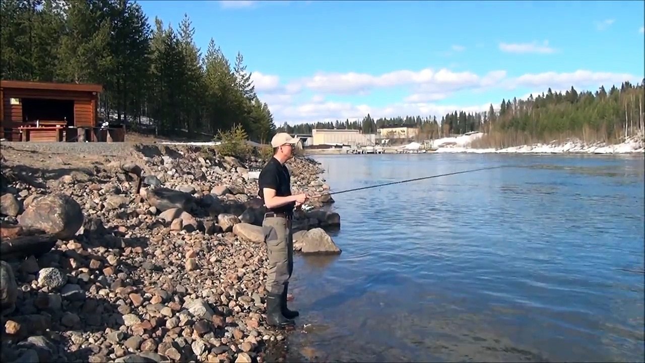 Fishing salmon River Luleå, Boden, Swedish Lapland Sweden (Laxfiske i Luleälen)