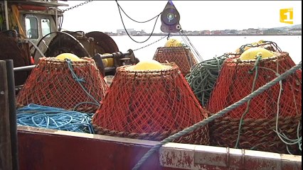 Ouverture de la campagne de pêche au crabe des neiges