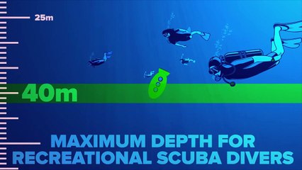 131 Seconds That Will Change The Way You See The Ocean