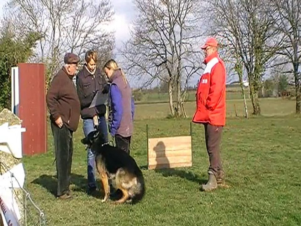 Sonia brevet obeissance