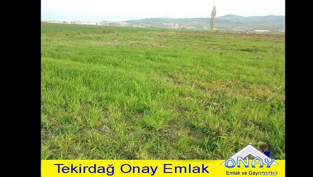 Tekirdağ Depolama Alanı Satılık Tarla