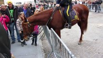 Adorable Dog (Frenchie!) Plays with NYPD Police Horse on Wall Street